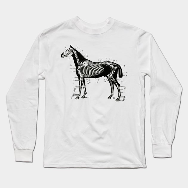 Horse Skeleton Drawing Long Sleeve T-Shirt by KnuckleTonic